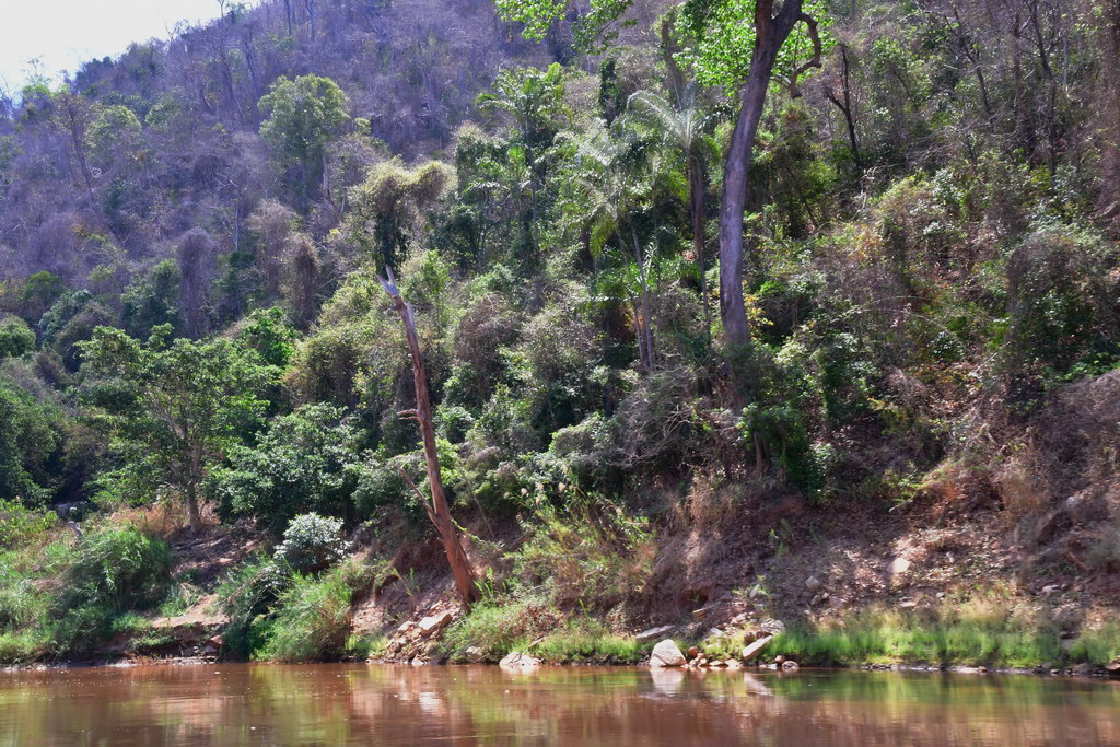 Tsiribihina River Descent